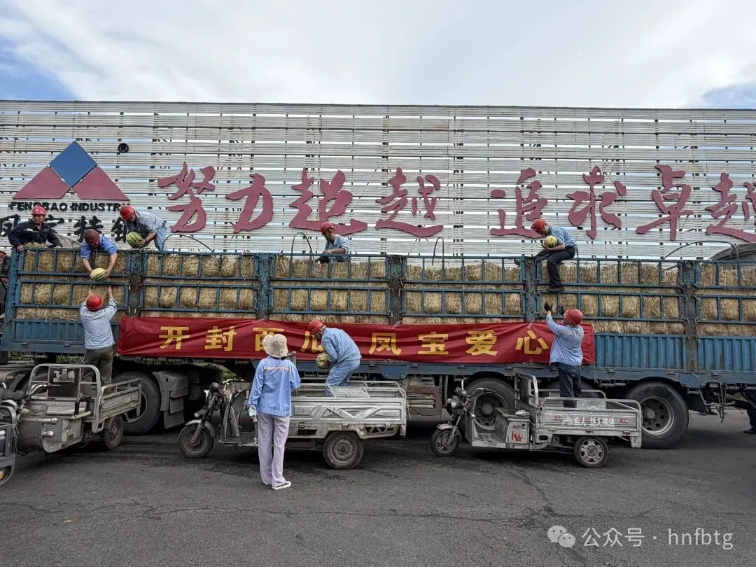 开封西瓜  凤宝爱心